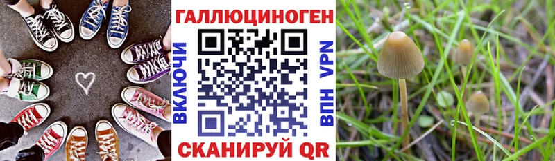omg рабочий сайт  Усмань  Псилоцибиновые грибы MAGIC MUSHROOMS  где купить  